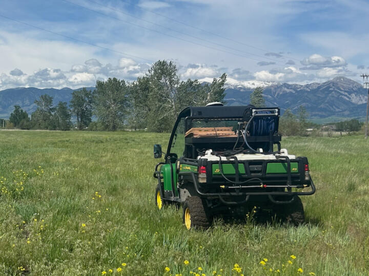 Selective weed control that targets invasive weeds while preserving desirable grasses.
